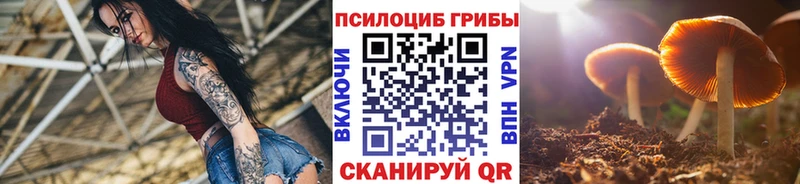 Купить  Мытищи  Галлюциногенные грибы Magic Shrooms 